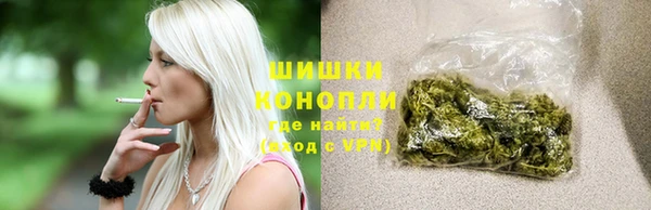 амф Верхний Тагил