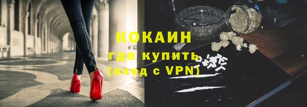 амф Верхний Тагил