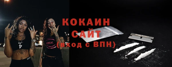 амф Верхний Тагил