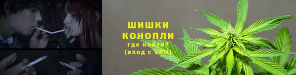 амф Верхний Тагил