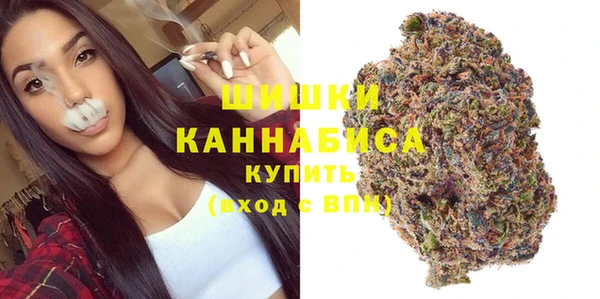 амф Верхний Тагил